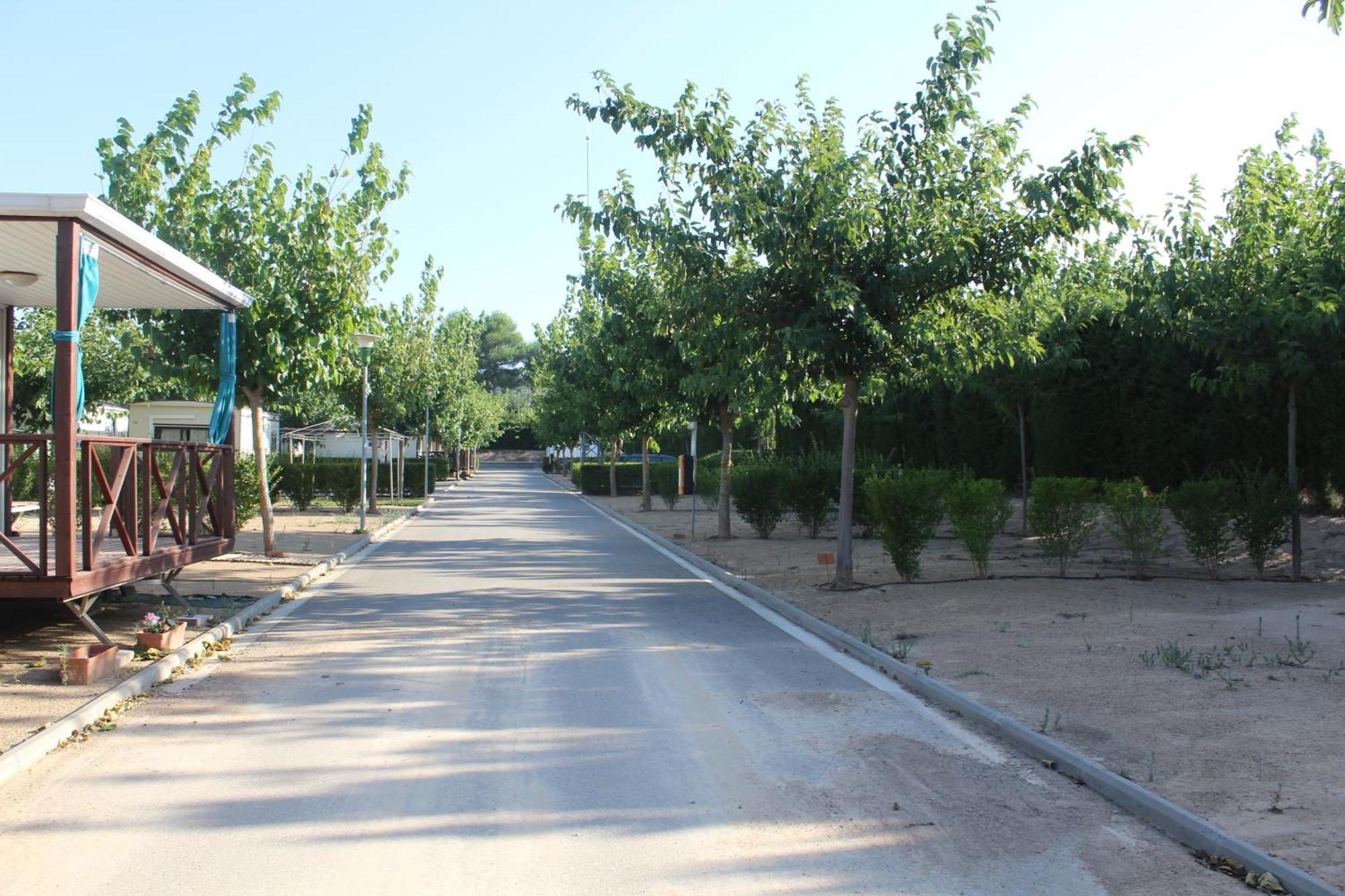 Camping Fayón Fishing Exterior foto